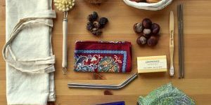 zero-waste-4221637_640-300×287